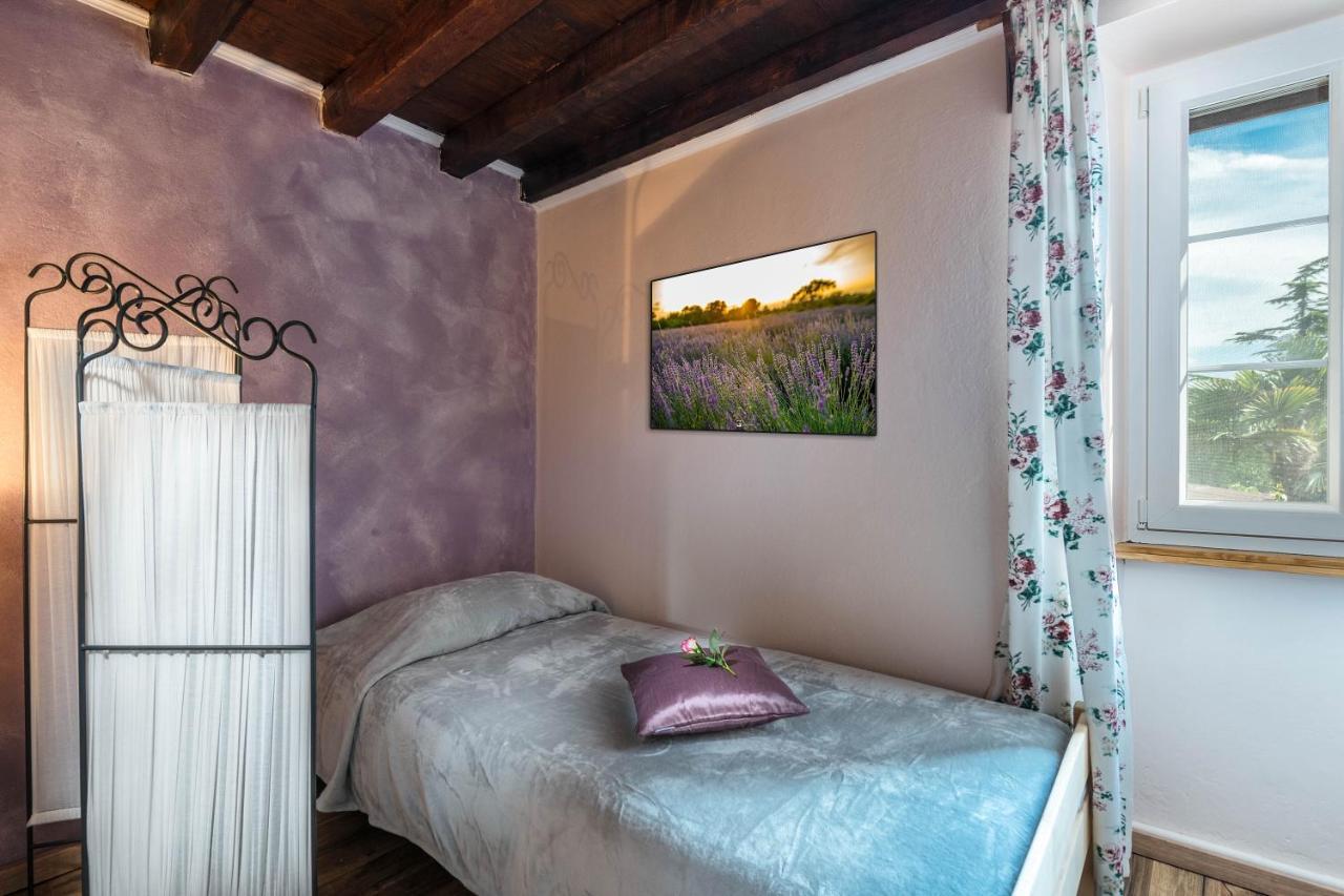 Rustic Istrian House Varesco 卡尼卡 外观 照片